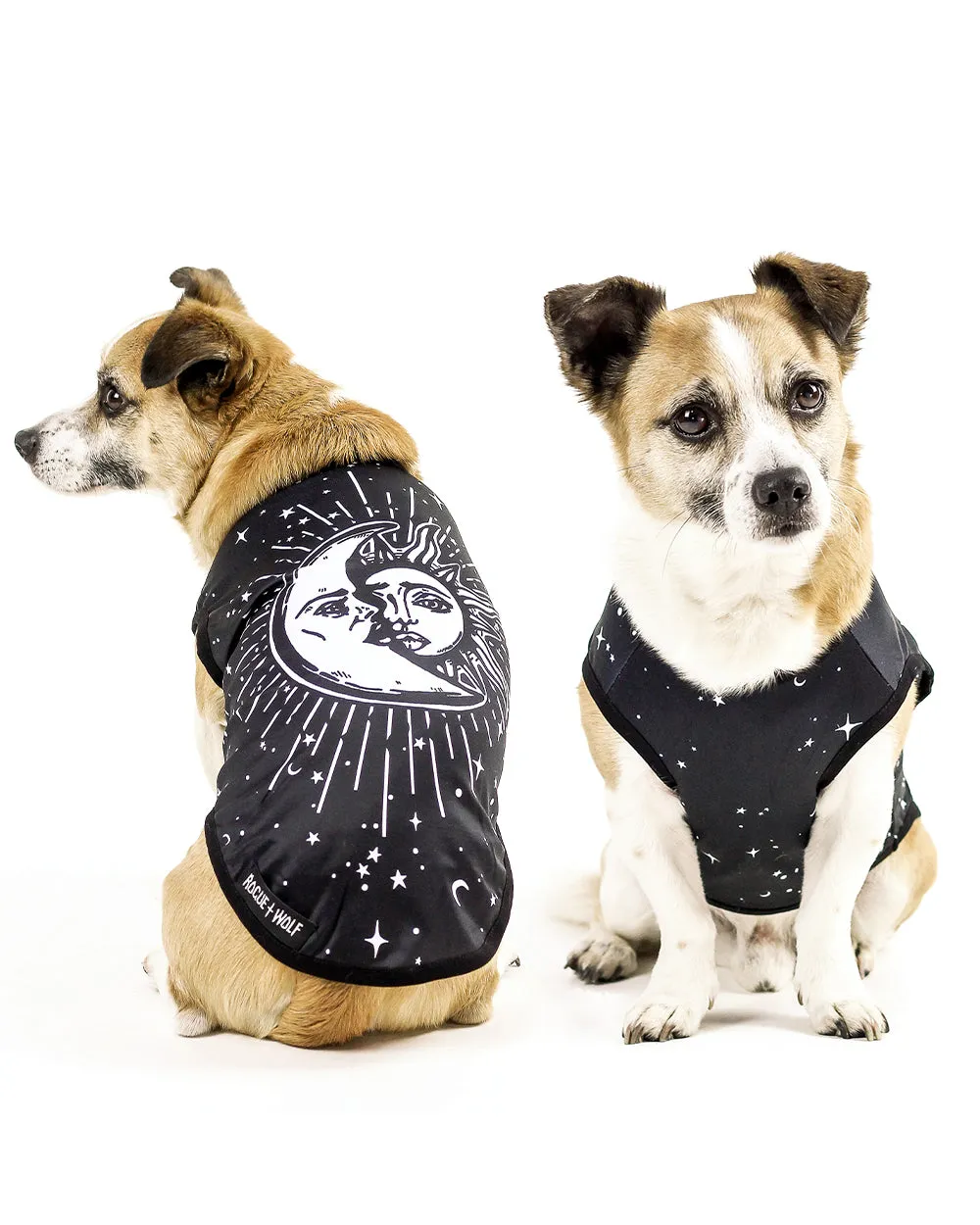 Astral Pet Vest - Dog or Cat