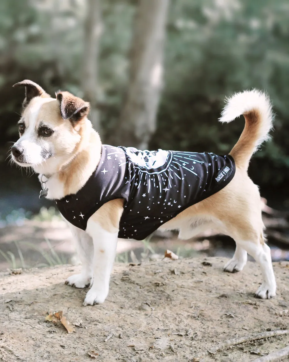 Astral Pet Vest - Dog or Cat