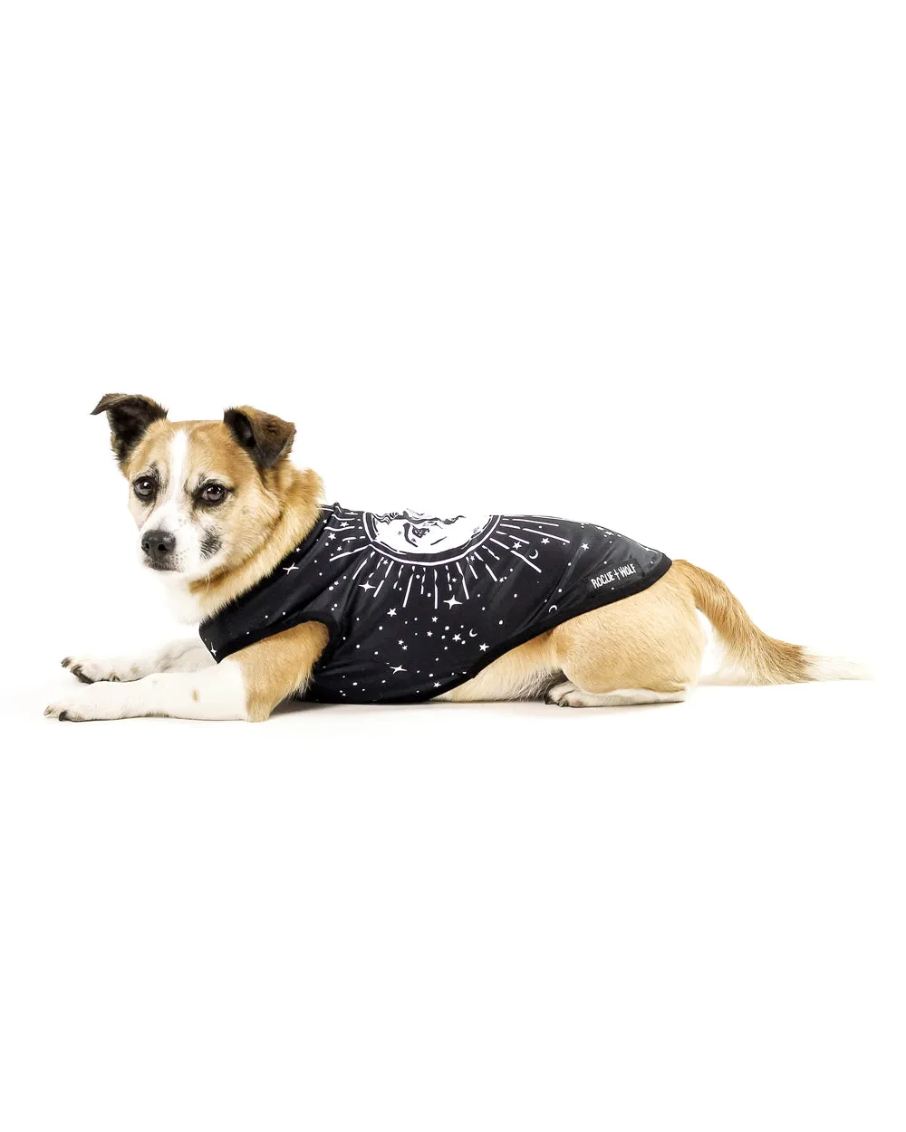 Astral Pet Vest - Dog or Cat