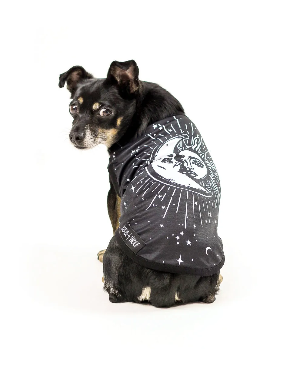 Astral Pet Vest - Dog or Cat